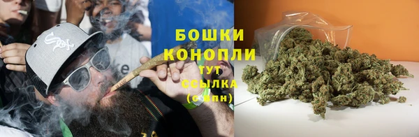 PSILOCYBIN Алексеевка
