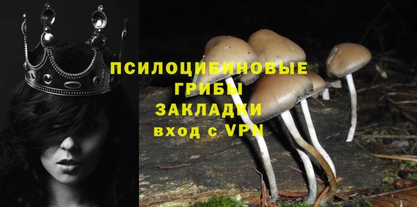PSILOCYBIN Алексеевка